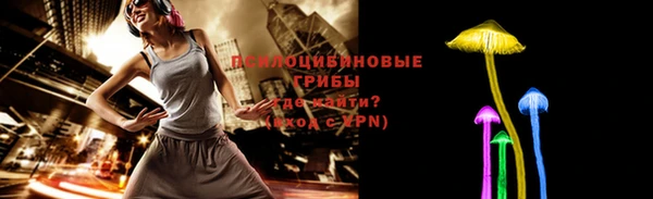 apvp Белокуриха