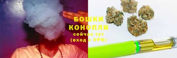 ГАЛЛЮЦИНОГЕННЫЕ ГРИБЫ Белоозёрский