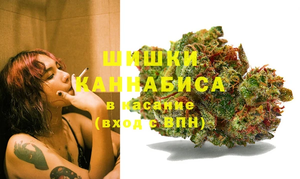 apvp Белокуриха
