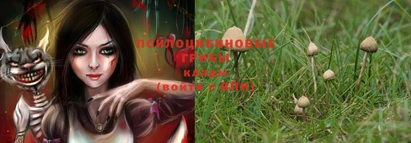 apvp Белокуриха