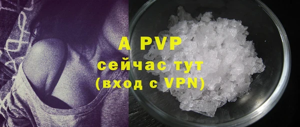 apvp Белокуриха