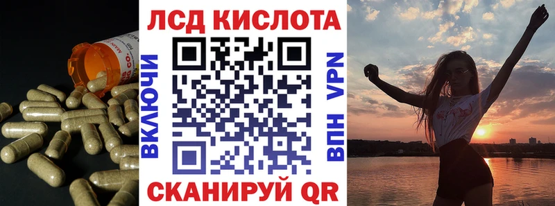 маркетплейс Telegram Волгореченск Лсд 25 экстази ecstasy где найти наркотики